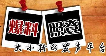 新闻在哪里爆料,倾听民意——新闻爆料助力社会问题解决  第2张