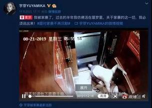 网红家暴事件爆料视频,视频揭露惊人真相，网友热议道德沦丧  第1张