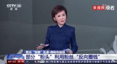 央视爆料粉条视频大全,央视曝光视频大全深度解析  第1张