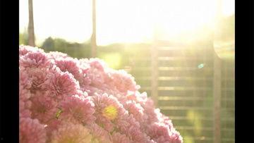 半夜爆料的视频素材,神秘视频曝光，真相令人震惊！  第1张