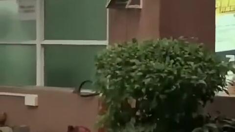 威远吃瓜最新事件爆料新闻,最新爆料揭露惊人内幕  第2张