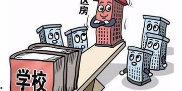 哈尔滨入学最新爆料,揭秘2024年入学政策与热门学校动态  第3张