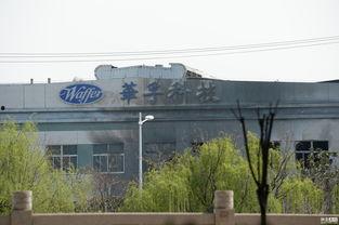 江苏昆山爆料事件最新,真相与争议交织的悬疑剧  第2张